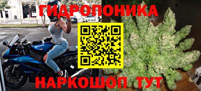 кокс Анапа
